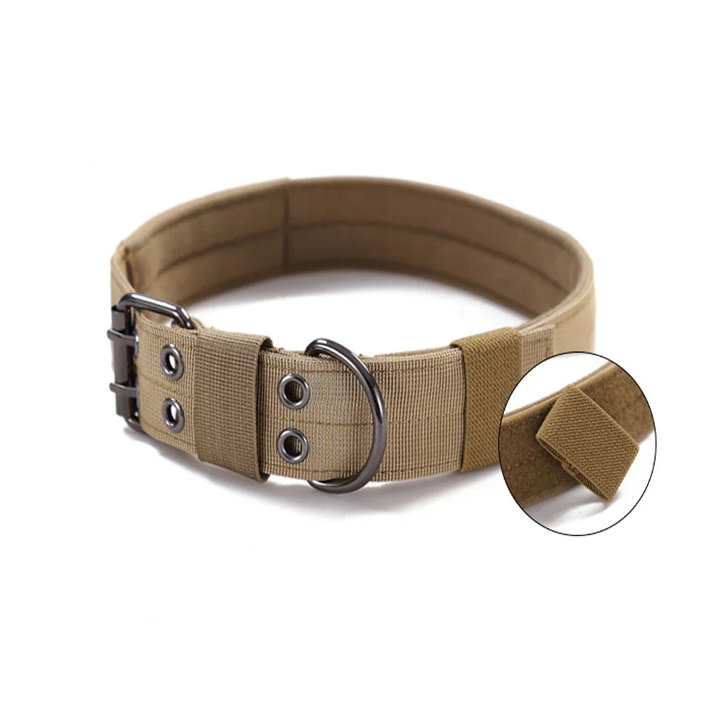 2" Wide Heavy Duty Nylon Dog Collar with Metal Buckle