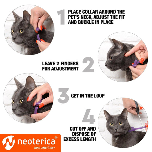 Cat Calming Collar 1 Pc