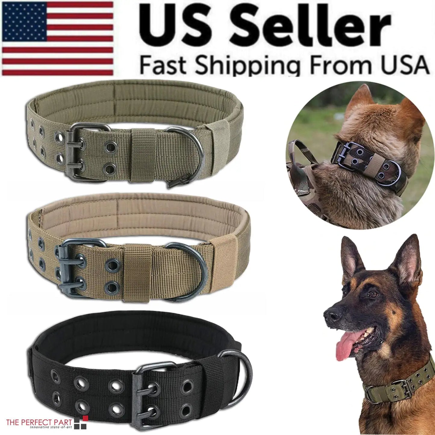 2" Wide Heavy Duty Nylon Dog Collar with Metal Buckle