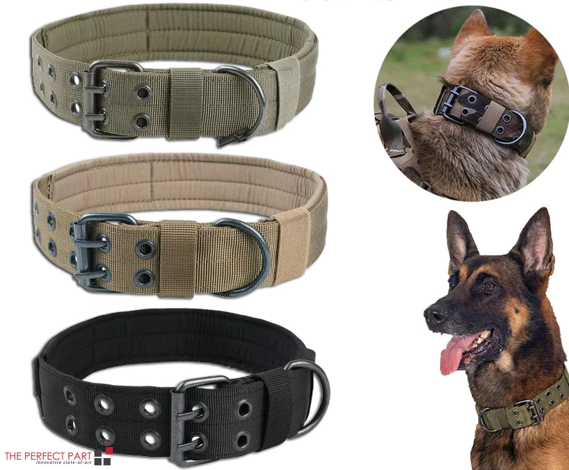 2" Wide Heavy Duty Nylon Dog Collar with Metal Buckle