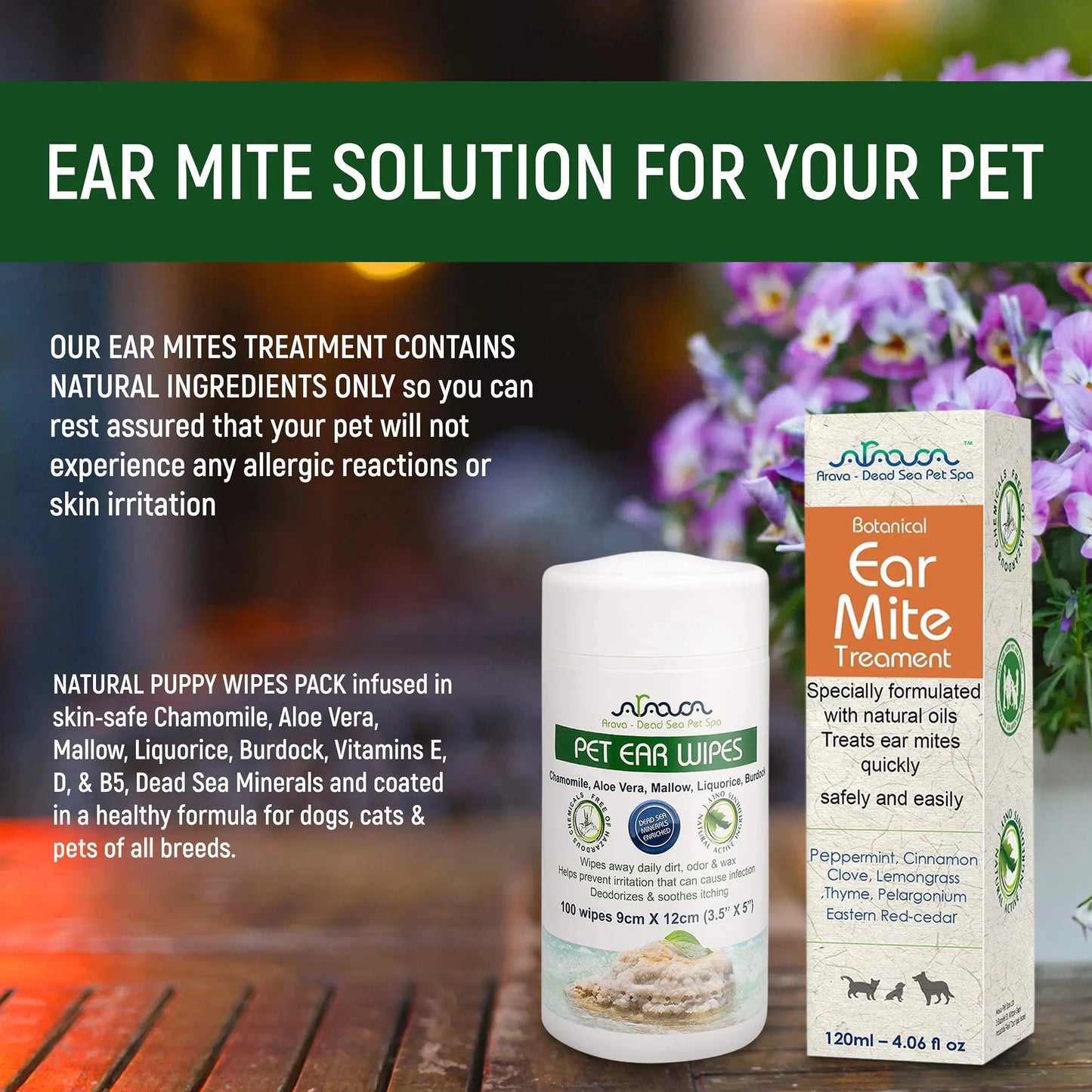 Natural Ear Mite Treatment for Pets