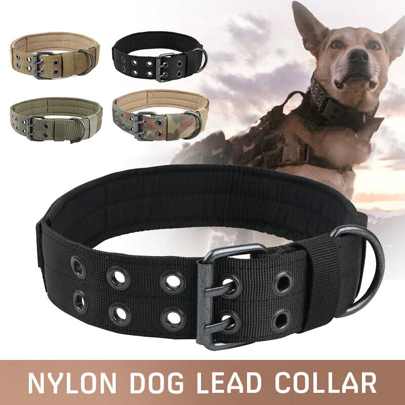 2" Wide Heavy Duty Nylon Dog Collar with Metal Buckle