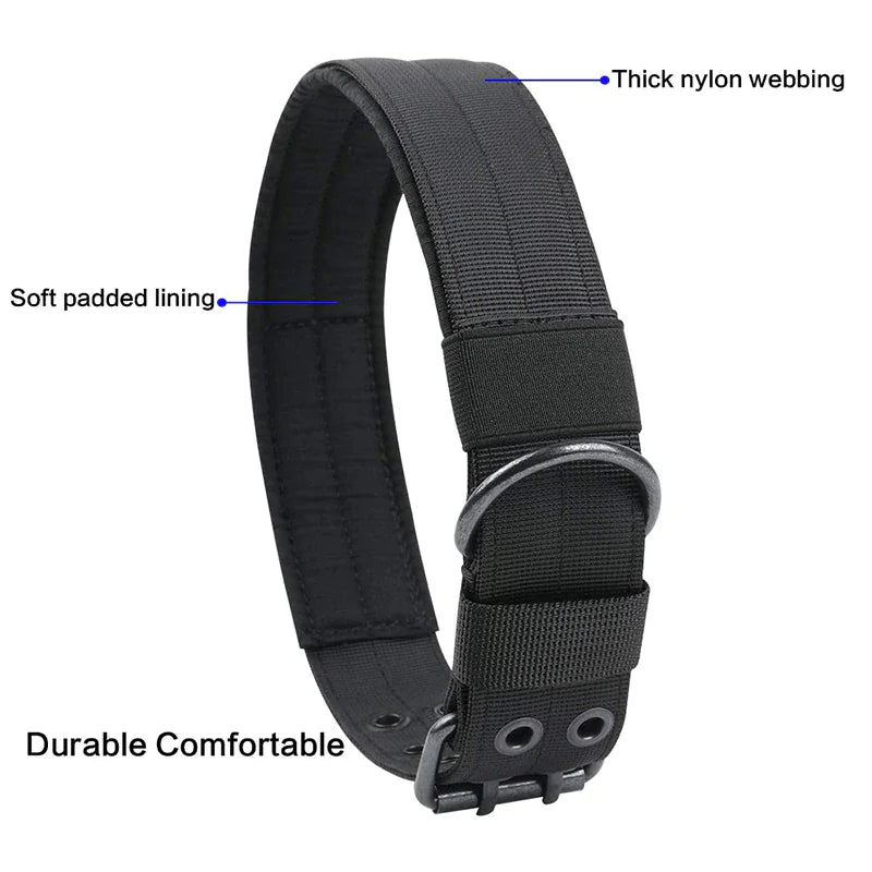 2" Wide Heavy Duty Nylon Dog Collar with Metal Buckle