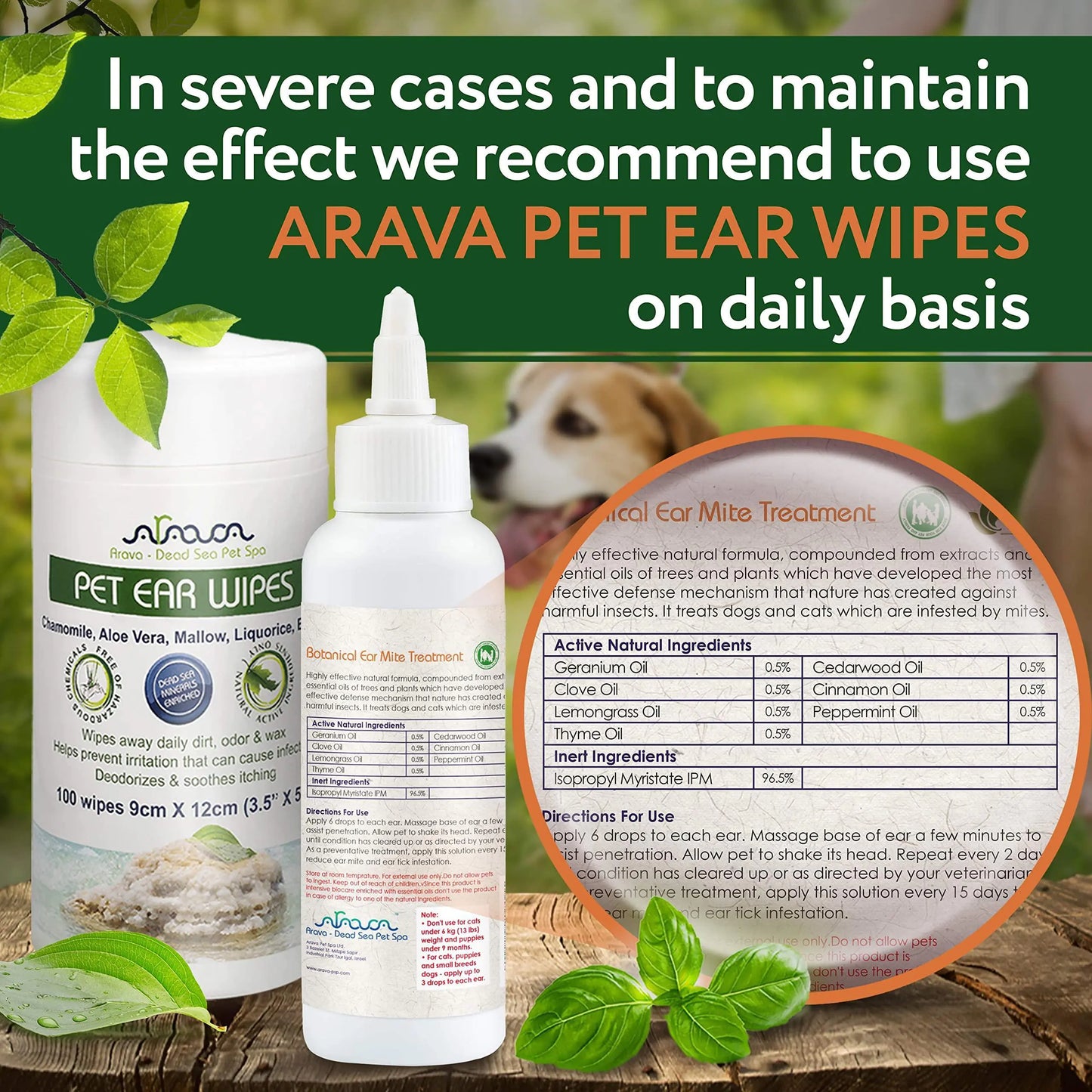 Natural Ear Mite Treatment for Pets