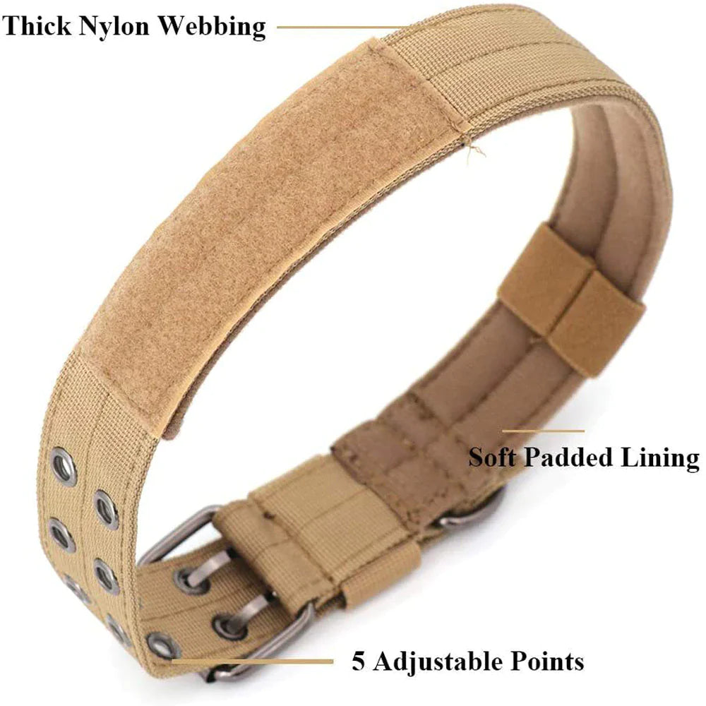 2" Wide Heavy Duty Nylon Dog Collar with Metal Buckle