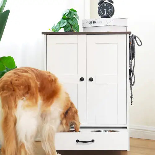 Dog Feeding Station With Hidden Dog Bowls