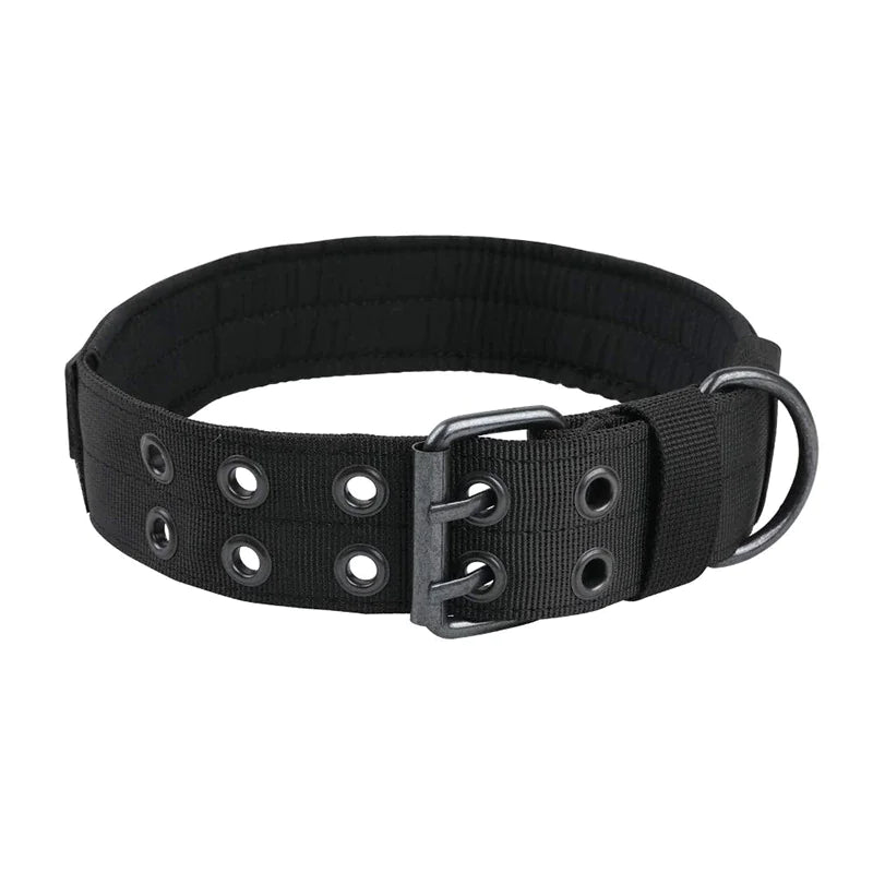 2" Wide Heavy Duty Nylon Dog Collar with Metal Buckle