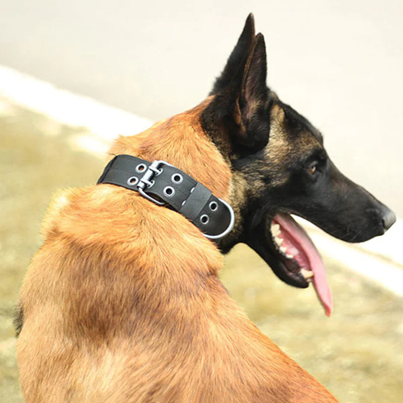 2" Wide Heavy Duty Nylon Dog Collar with Metal Buckle